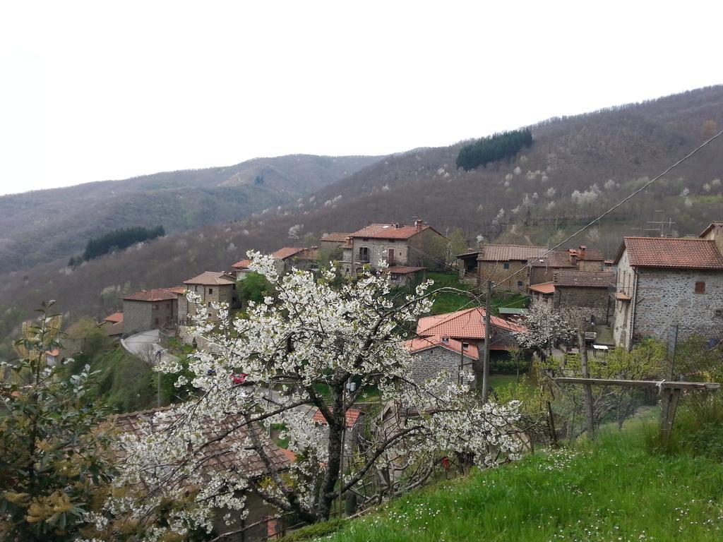 Il Borgo Dei Corsi - Charming Holiday Apartments Ortignano Raggiolo Exterior photo