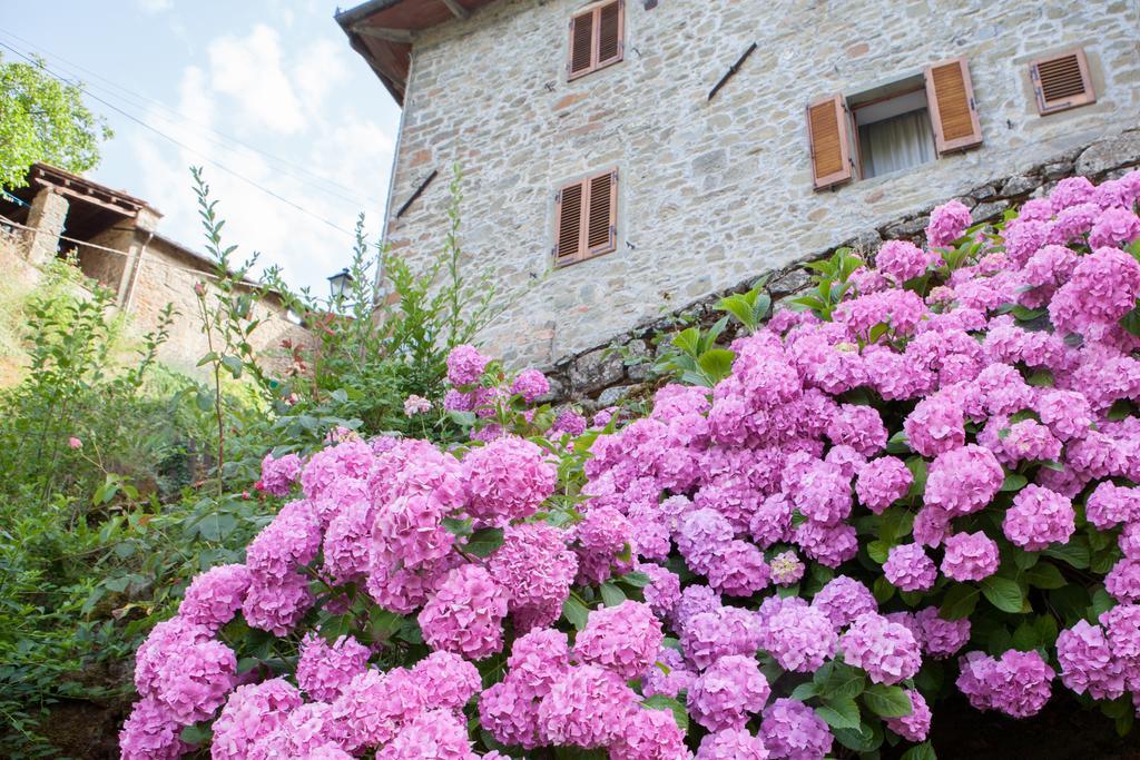 Il Borgo Dei Corsi - Charming Holiday Apartments Ortignano Raggiolo Exterior photo